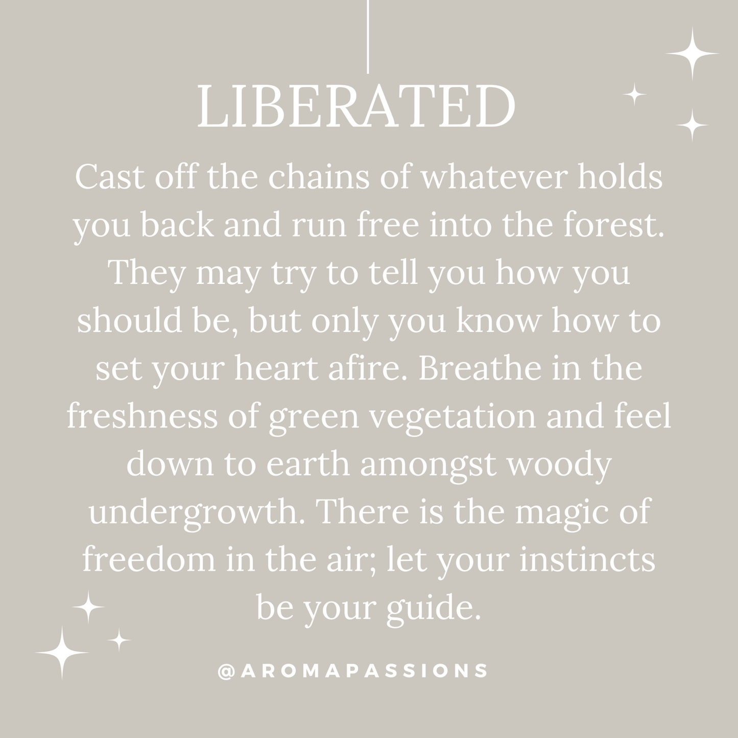 Le Labo Santal 33 Alternative - aromapassions