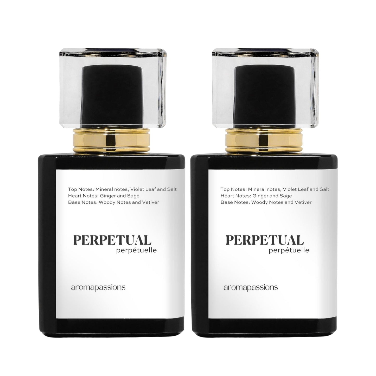 PERPETUAL | Inspired by VALENTINO UOMO BORN IN ROMA | Uomo Born in Roma Dupe Pheromone Perfume - aromapassions