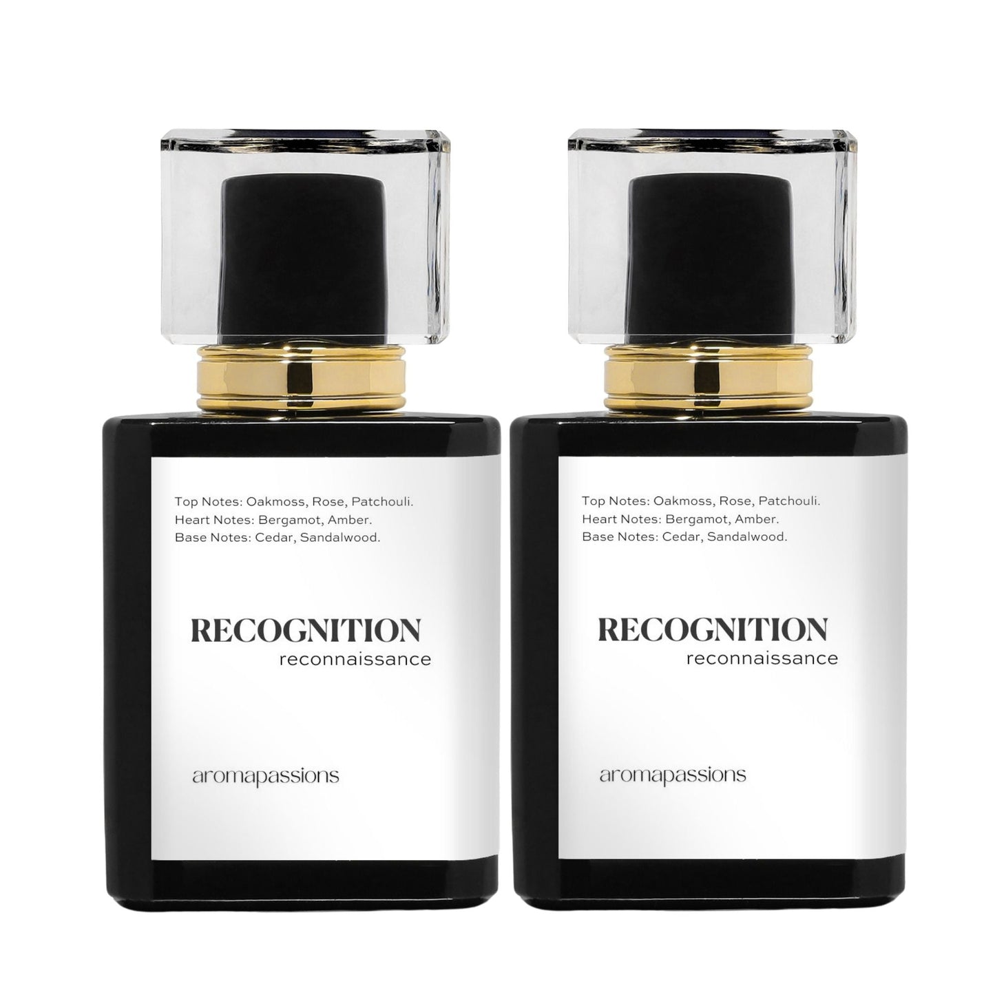 RECOGNITION | Inspired by DIOR GRIS | Gris Dupe Pheromone Perfume - aromapassions