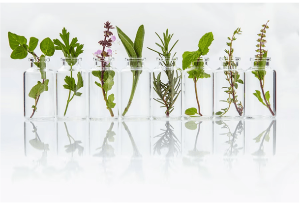 How Perfume is Made? : Understanding the Process of Making Perfume - aromapassions