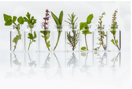 How Perfume is Made? : Understanding the Process of Making Perfume - aromapassions