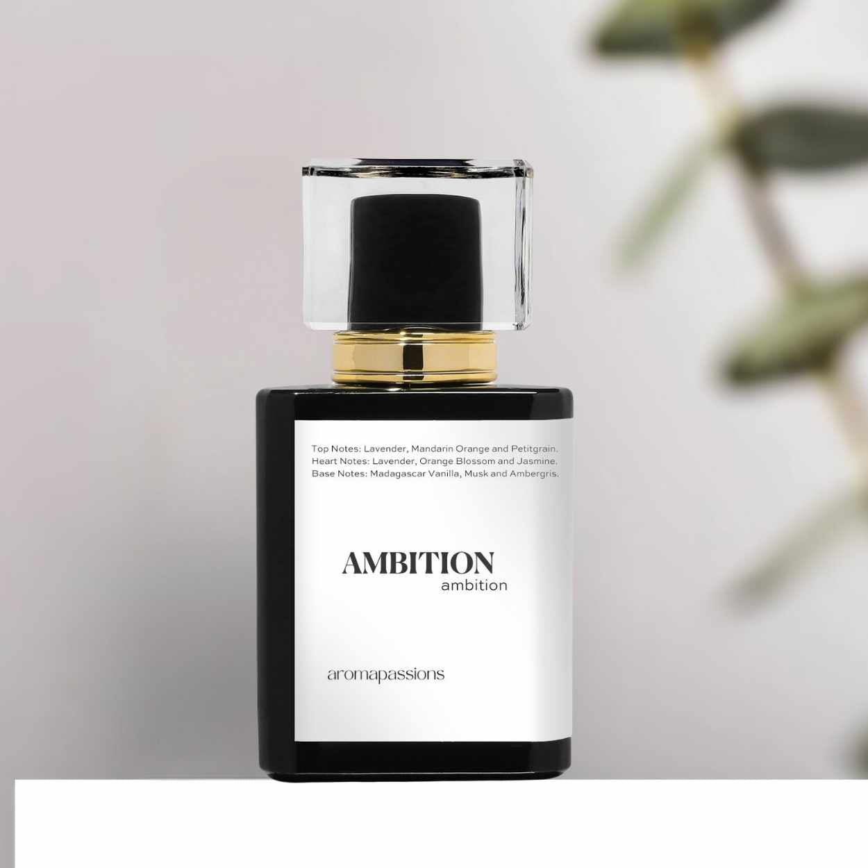 AMBITION | Inspired by YSL LIBRE | Lavender Mandarin Orange Black Currant Lavender Jasmine Vanilla Cedar Essential Oils | Libre Dupe Pheromone Perfume - aromapassions