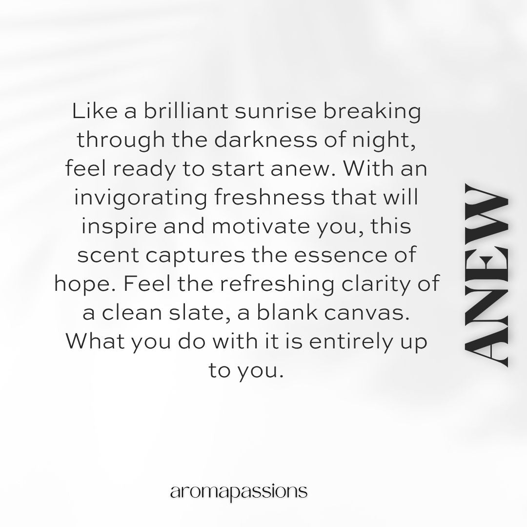 ANEW | Inspired by PRADA LUNA ROSSA OCEAN | Luna Rossa Ocean Dupe Pheromone Perfume - aromapassions