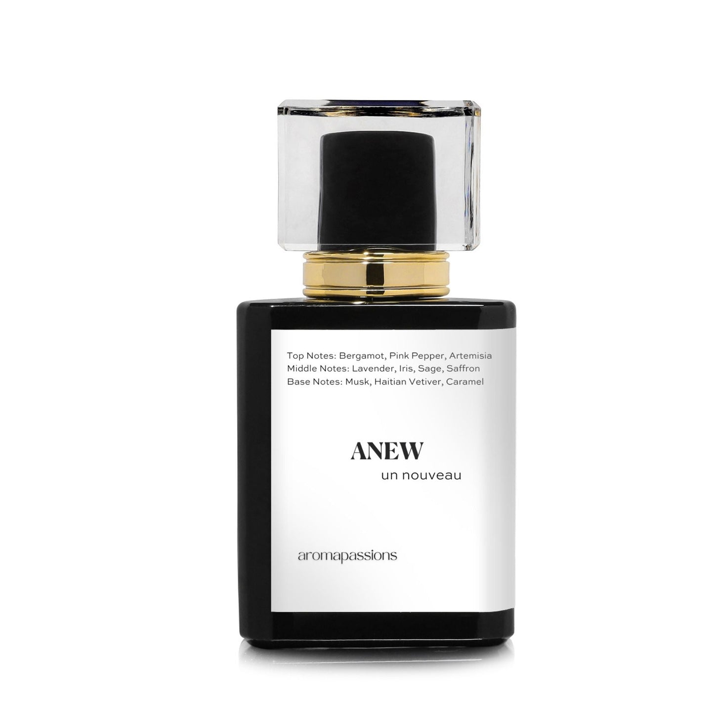 ANEW | Inspired by PRADA LUNA ROSSA OCEAN | Luna Rossa Ocean Dupe Pheromone Perfume - aromapassions
