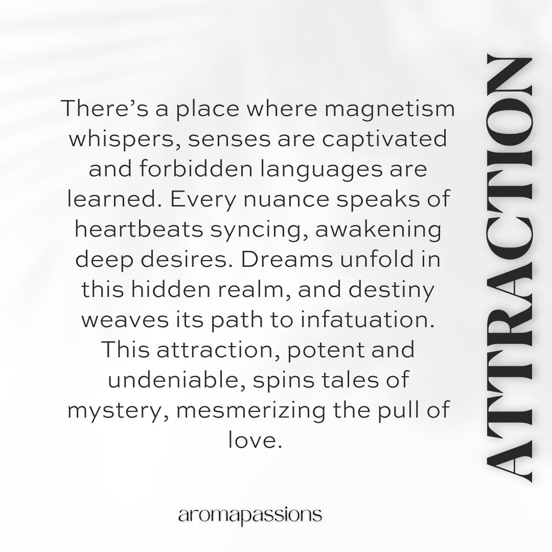 ATTRACTION | Inspired by JEAN PAUL GAULTIER LE BEAU | Le Beau Dupe Pheromone Perfume - aromapassions