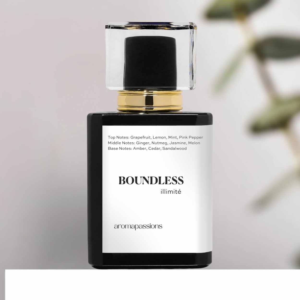 BOUNDLESS | Inspired by CHANEL BLEU DE CHANEL EDP | Bleu De Chanel Dupe Pheromone Perfume - aromapassions
