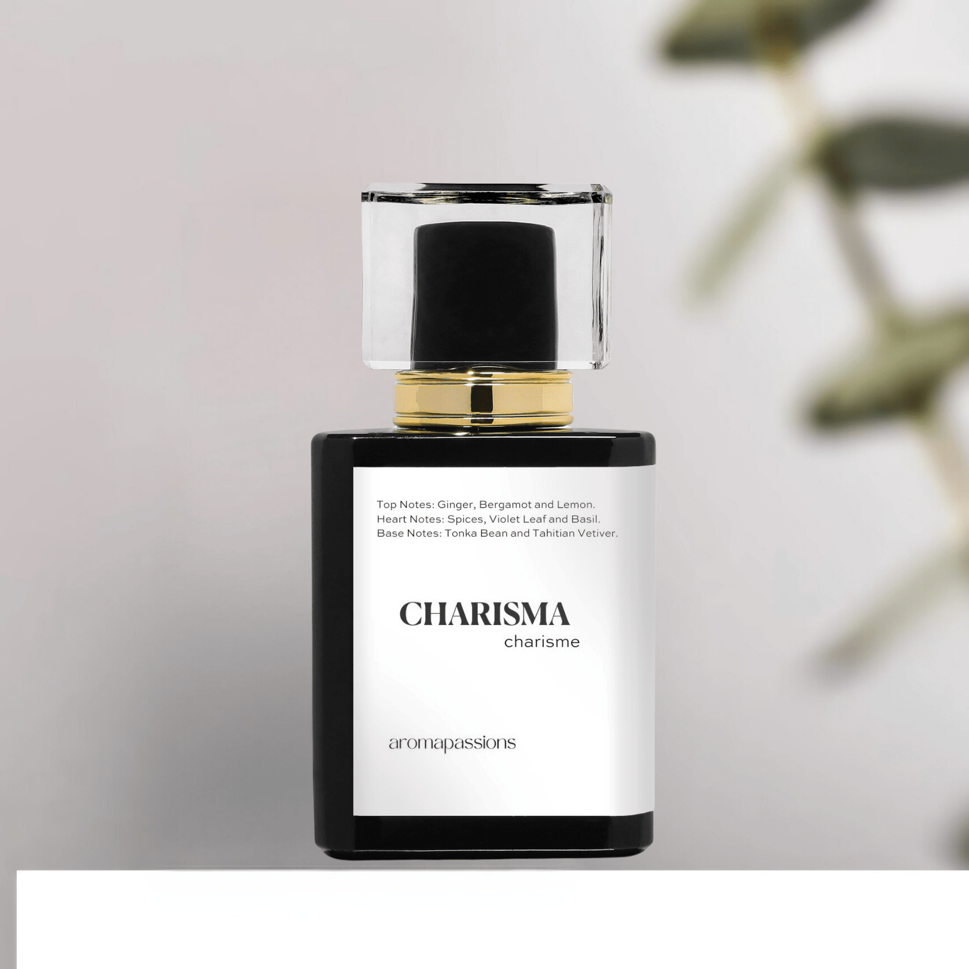 CHARISMA | Inspired by YVES SAINT LAURENT YSL L'HOMME | YSL L'homme Dupe Pheromone Perfume - aromapassions