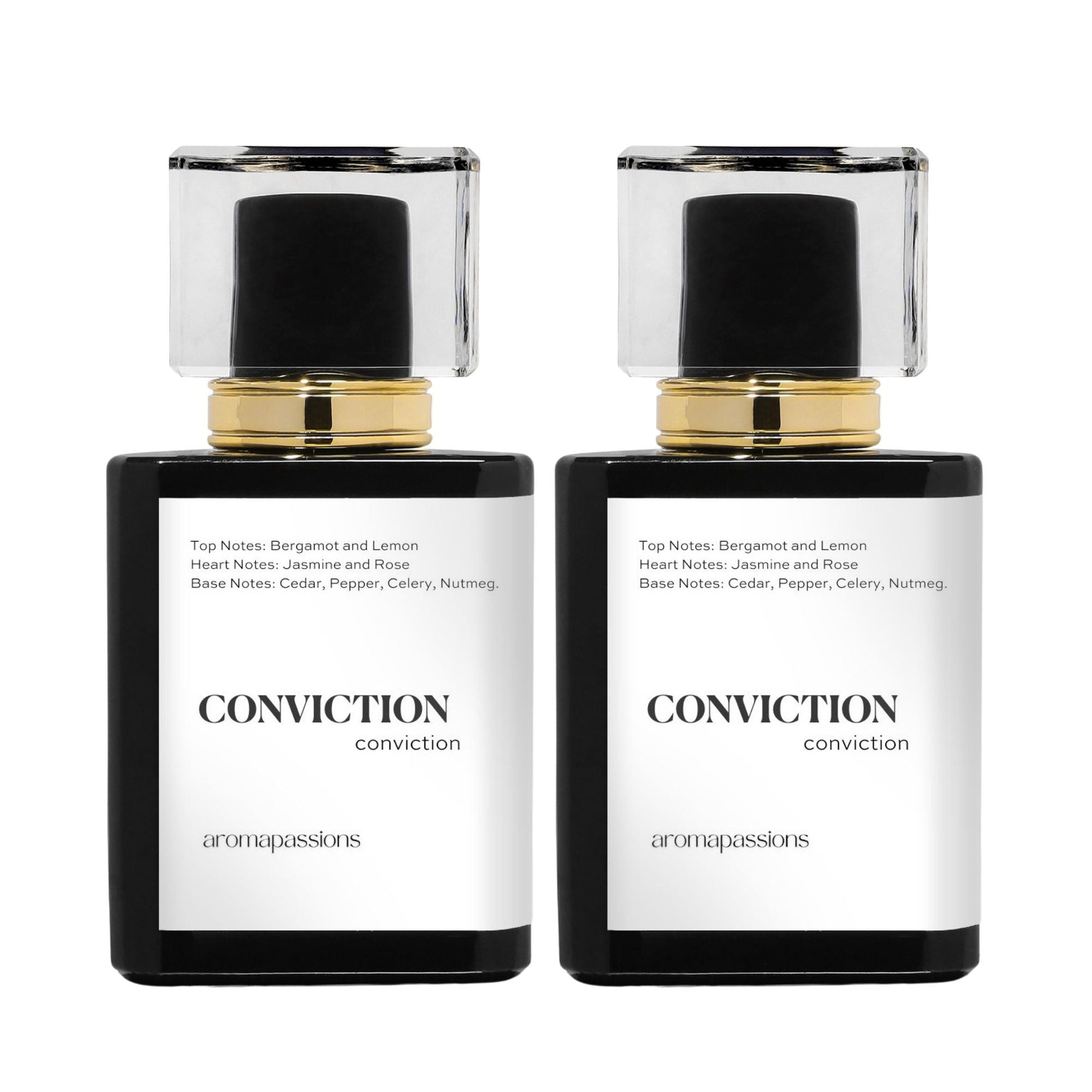 CONVICTION | Inspired by ROJA VETIVER | Vetiver Dupe Pheromone Perfume - aromapassions