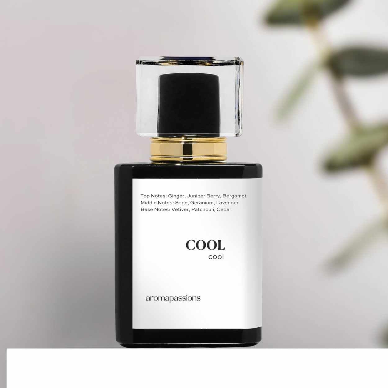 COOL | Inspired by YVES SAINT LRNT YSL Y EDP | Ysl Y Dupe Pheromone Perfume - aromapassions