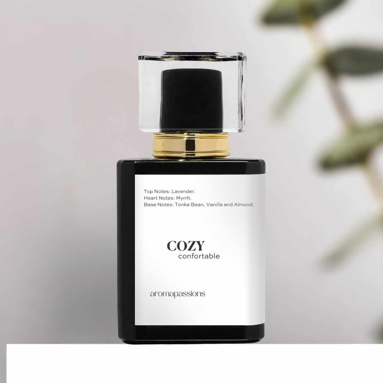COZY | Inspired by JO MALONE MYRRH AND TONKA | Myrrh and Tonka Dupe Pheromone Perfume - aromapassions