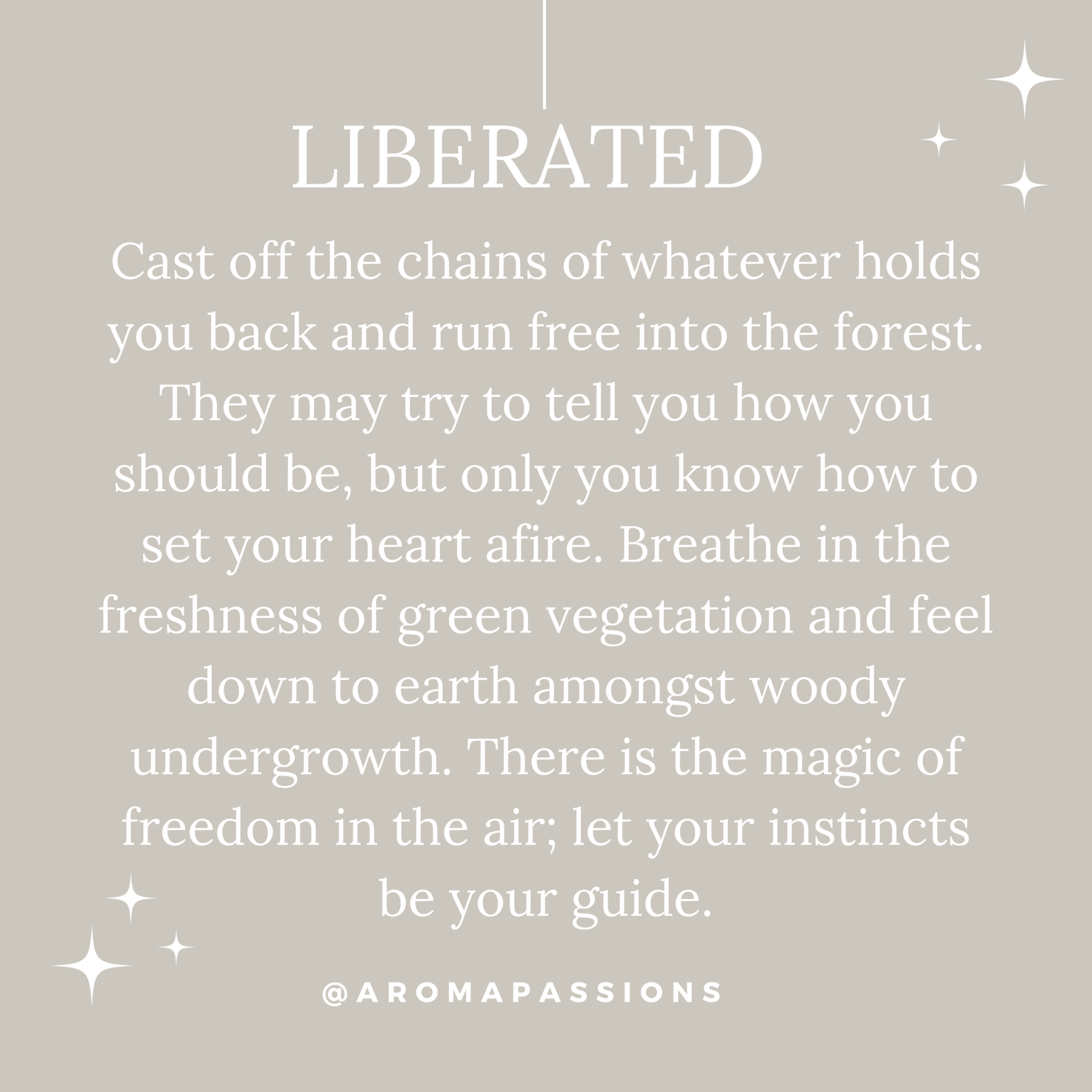 Dupe Santal 33 - aromapassions