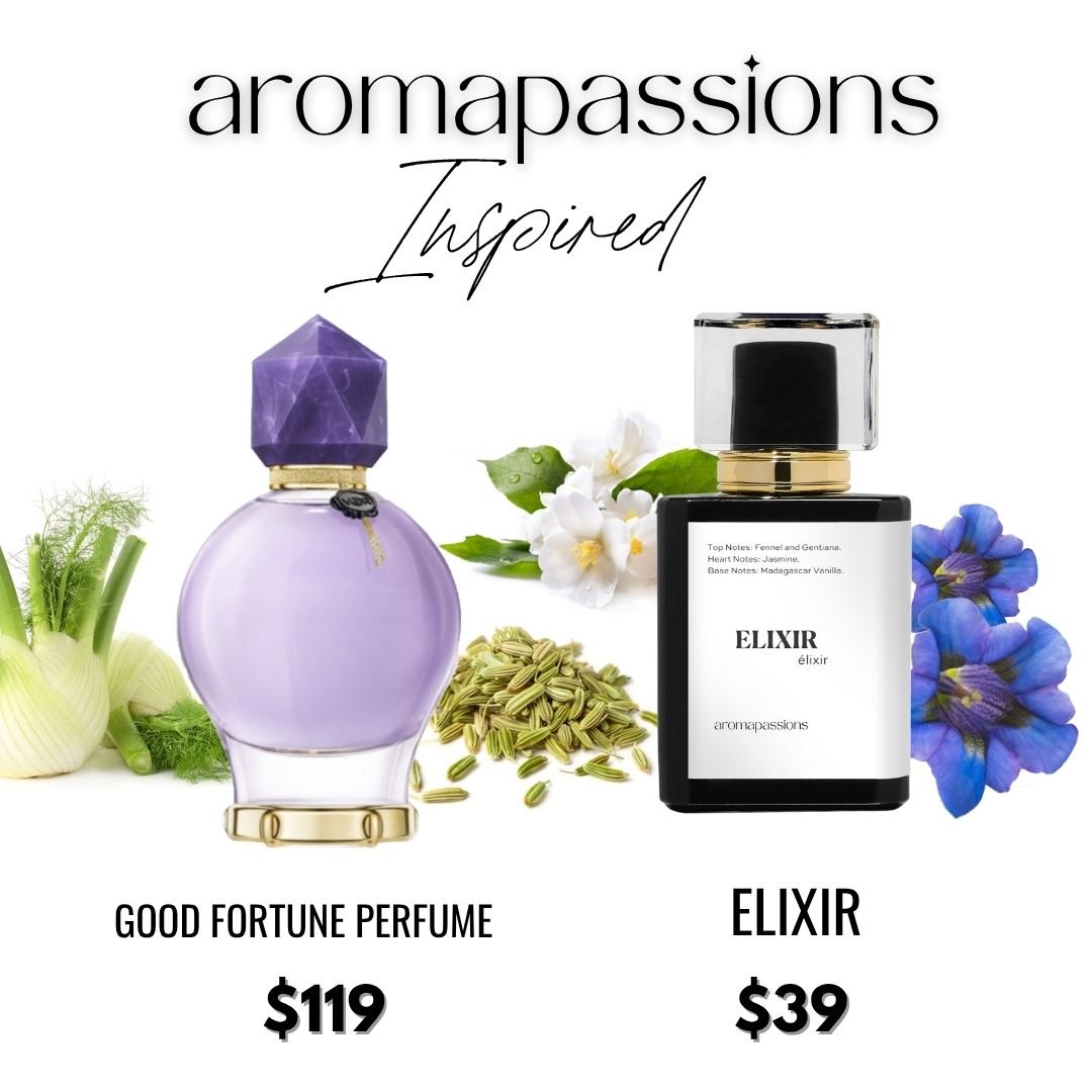 ELIXIR | Inspired by VIKTOR & ROLF GOOD FORTUNE PERFUME | good fortune perfume Dupe Pheromone Perfume - aromapassions