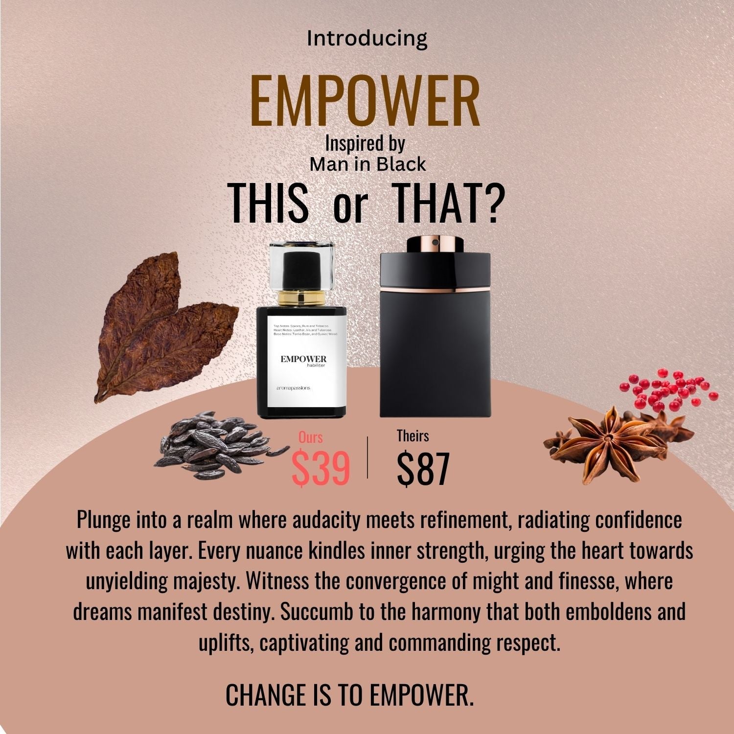 EMPOWER | Inspired by BVLGARI MAN IN BLACK | Man in Black Dupe Pheromone Perfume - aromapassions