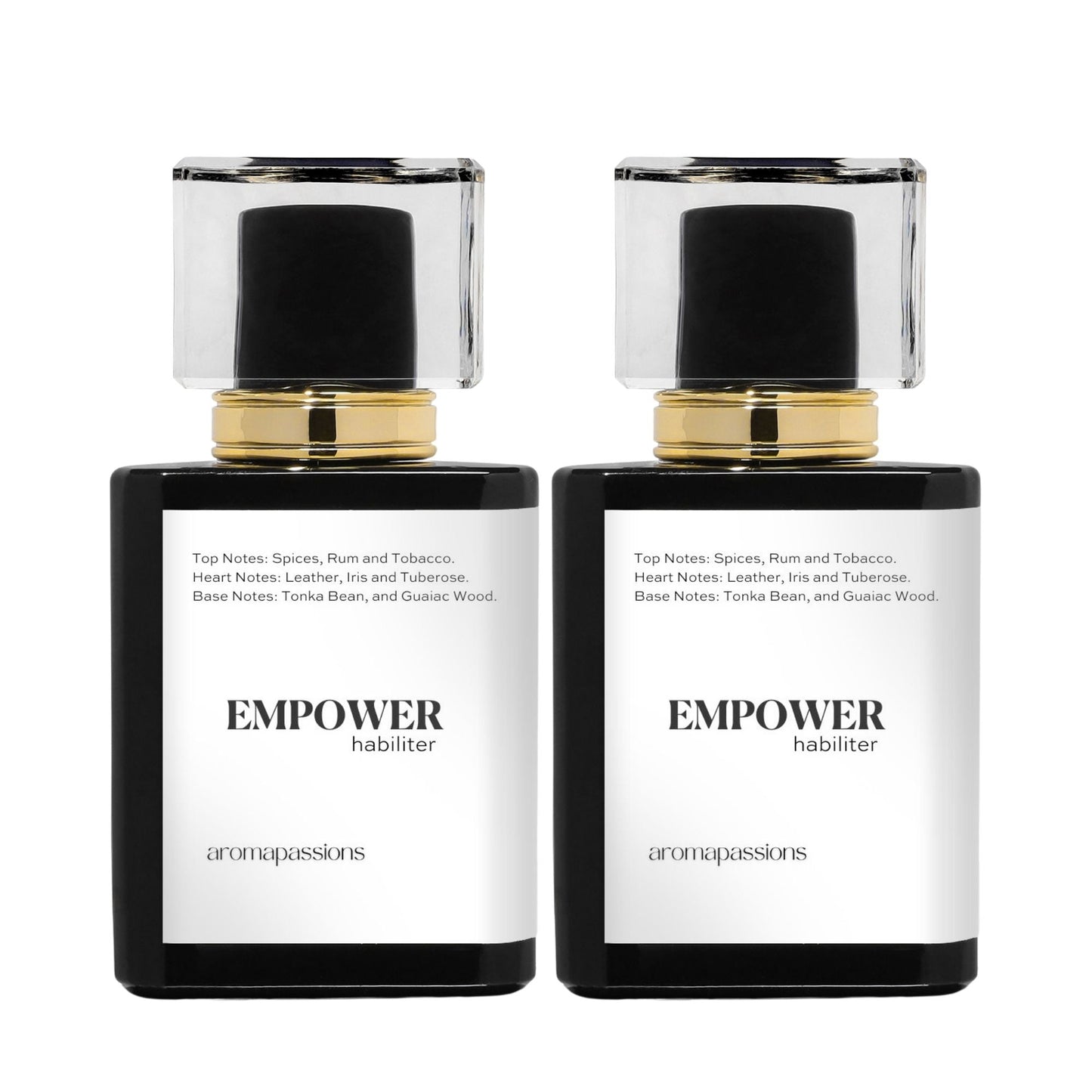 EMPOWER | Inspired by BVLGARI MAN IN BLACK | Man in Black Dupe Pheromone Perfume - aromapassions
