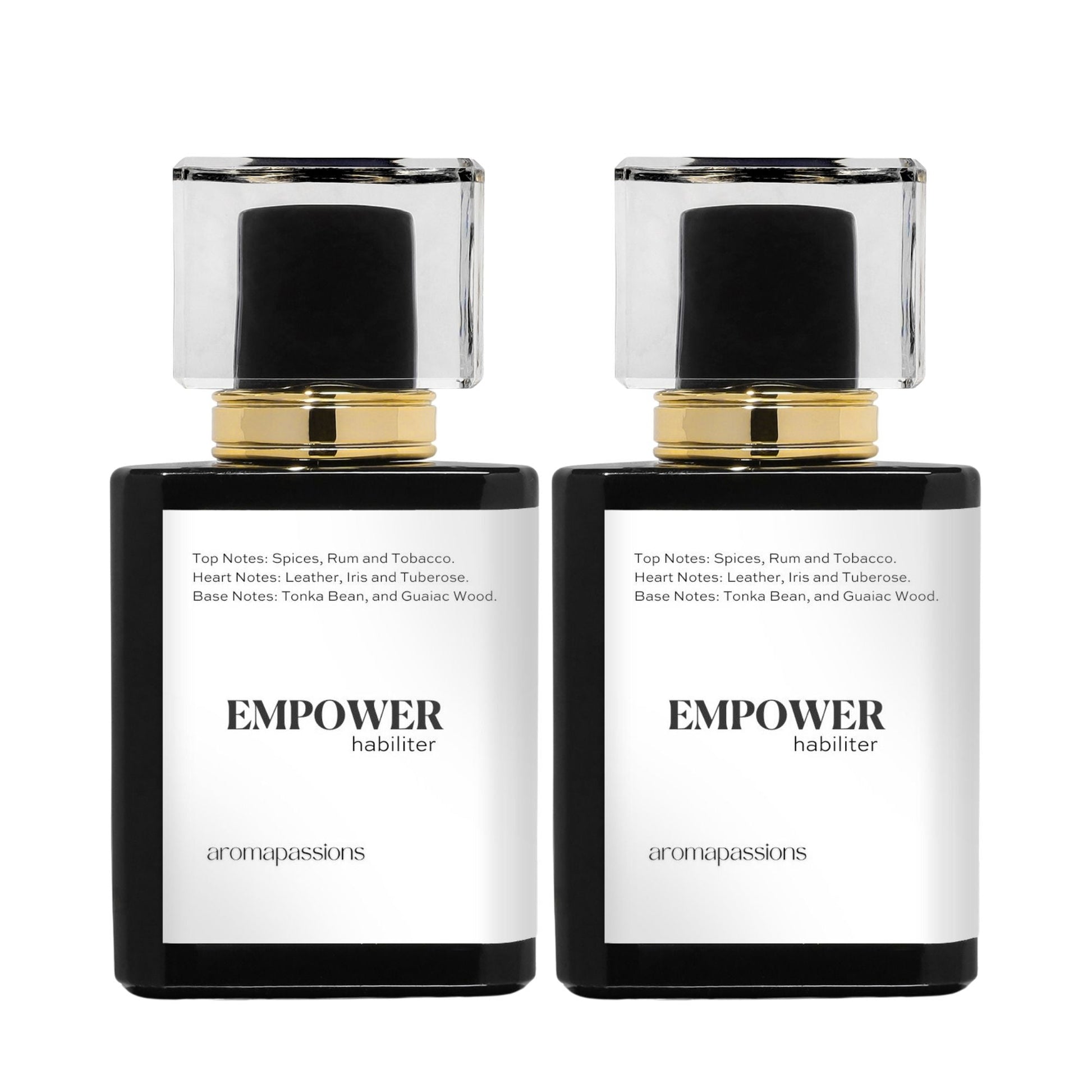 EMPOWER | Inspired by BVLGARI MAN IN BLACK | Man in Black Dupe Pheromone Perfume - aromapassions