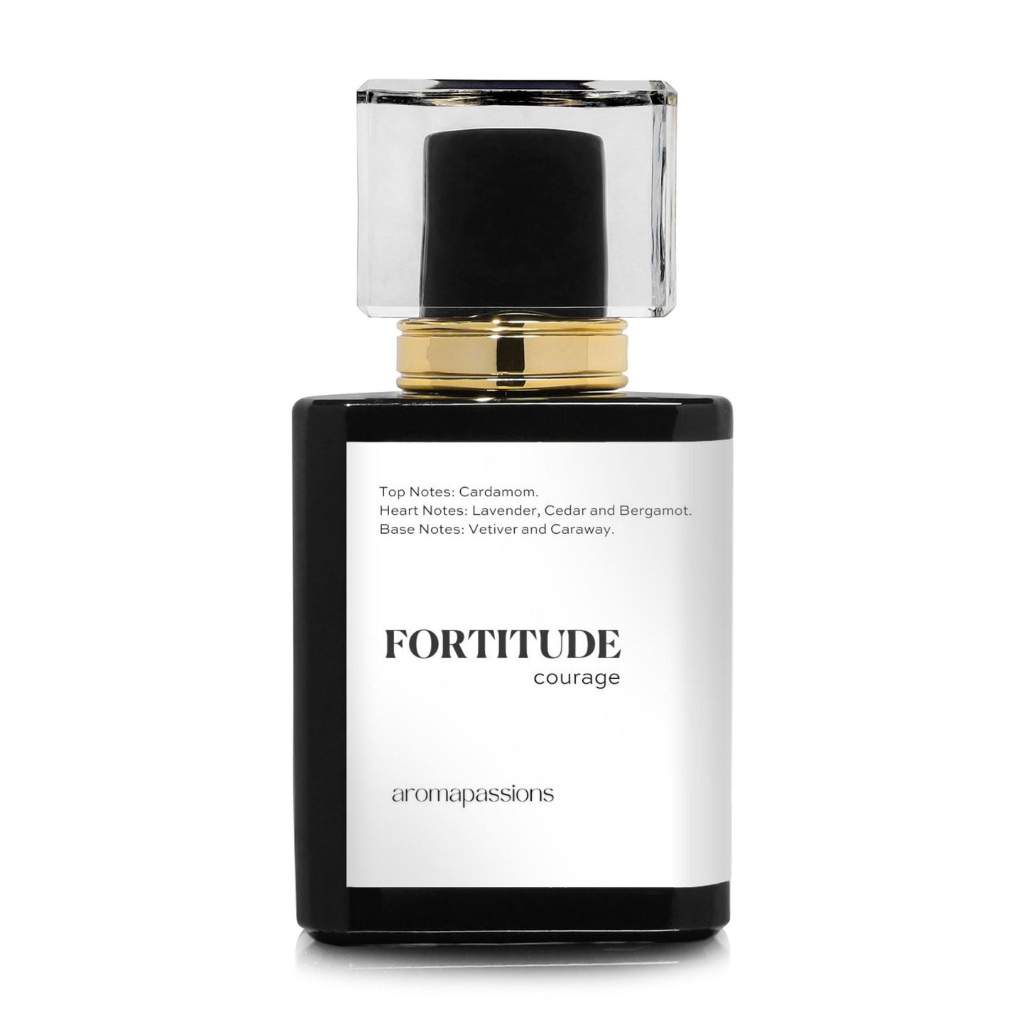 FORTITUDE | Inspired by YSL LA NUIT DE L'HOMME | La Nuit De L'Homme Dupe Pheromone Perfume - aromapassions
