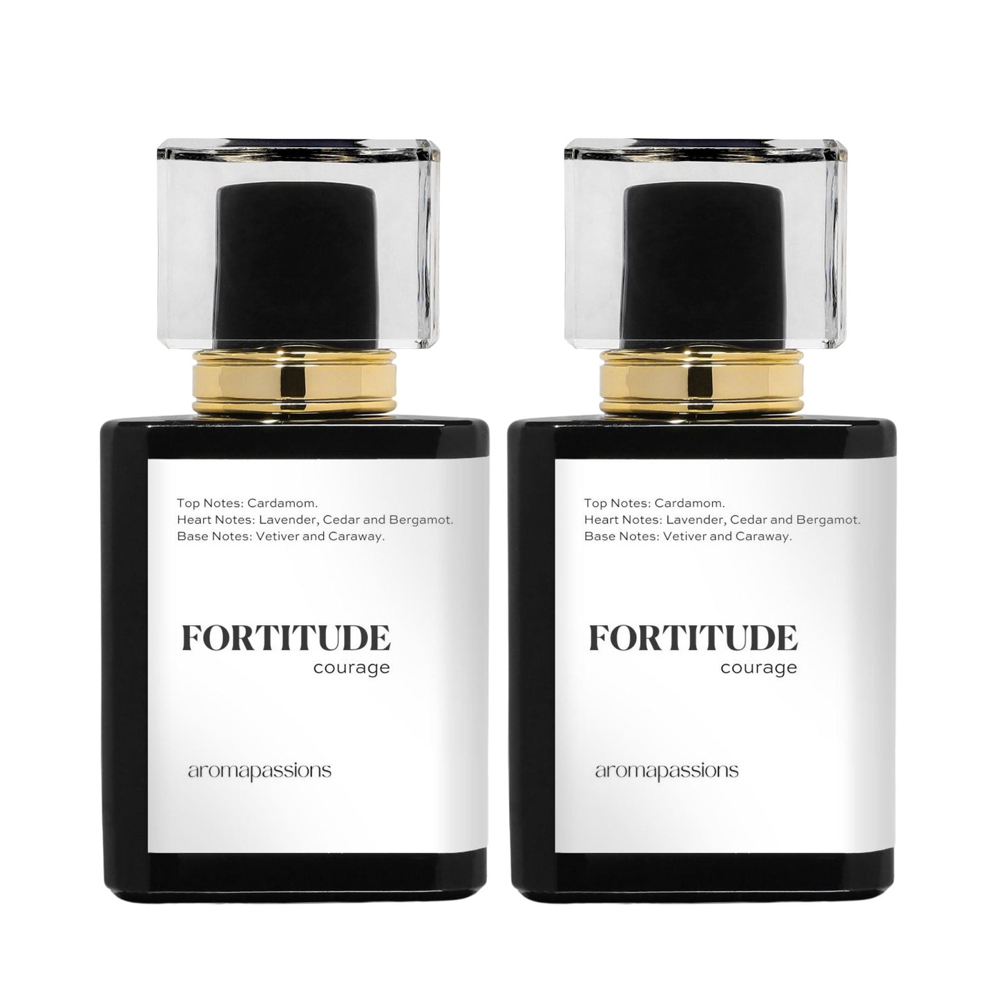FORTITUDE | Inspired by YSL LA NUIT DE L'HOMME | La Nuit De L'Homme Dupe Pheromone Perfume - aromapassions
