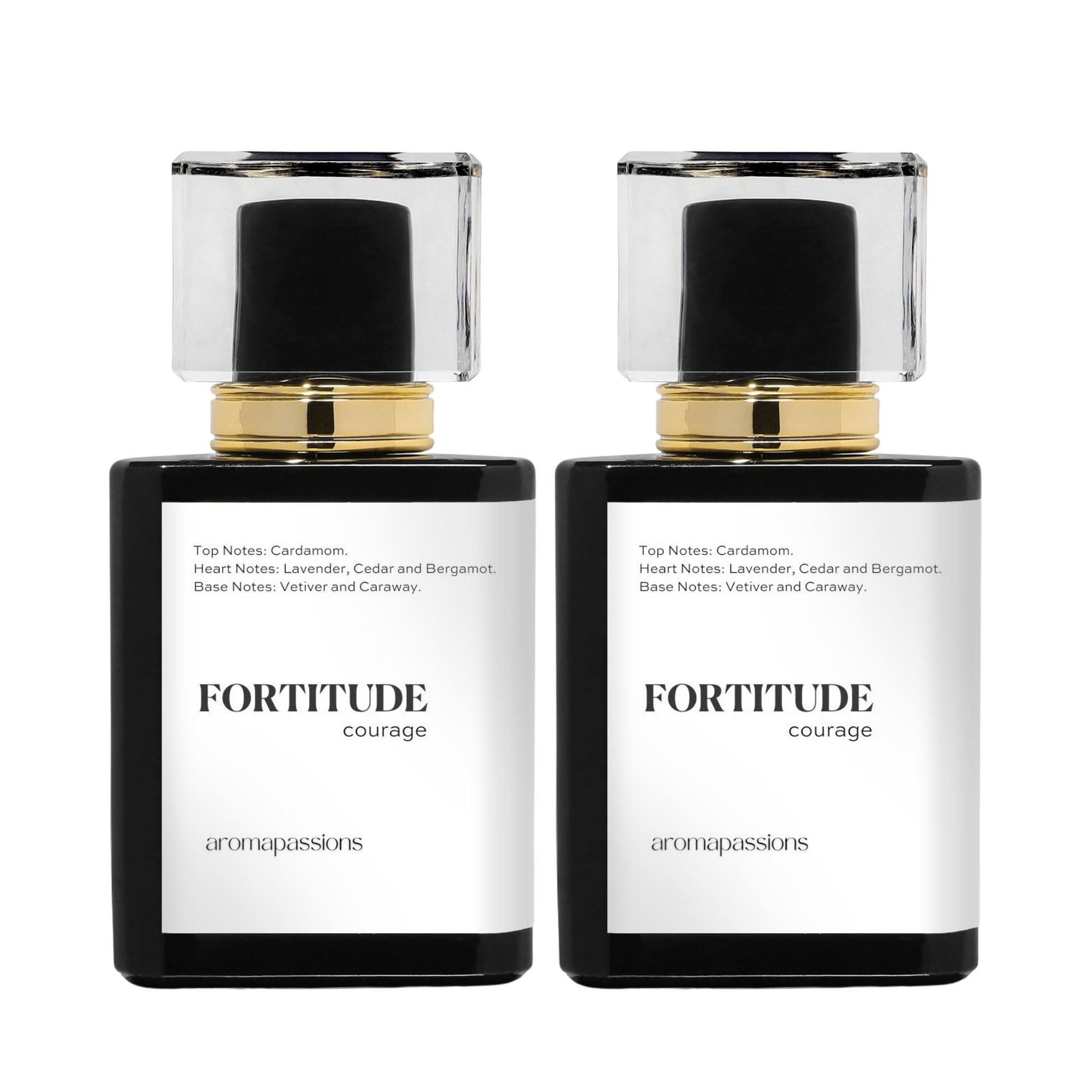 FORTITUDE | Inspired by YSL LA NUIT DE L'HOMME | La Nuit De L'Homme Dupe Pheromone Perfume - aromapassions