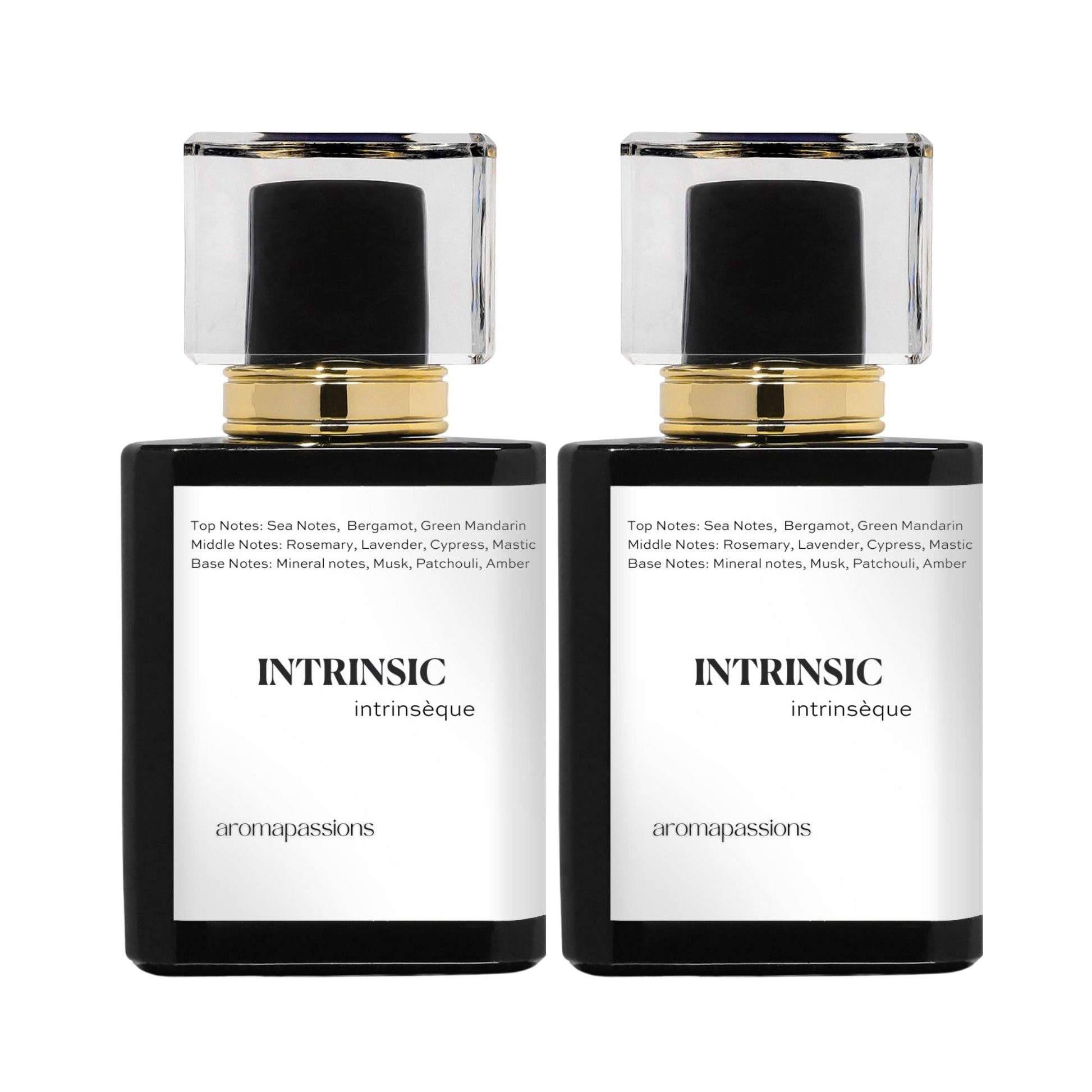 INTRINSIC | Inspired by GIORGIO ARMANI ACQUA DI GIO PROFONDO | Acqua Di Gio Profondo Dupe Pheromone Perfume - aromapassions