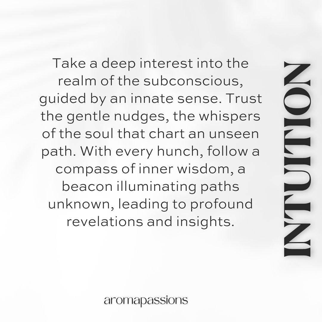 INTUITION | Inspired by NARCISO RODRIGUEZ MEN | Men Dupe Pheromone Perfume - aromapassions