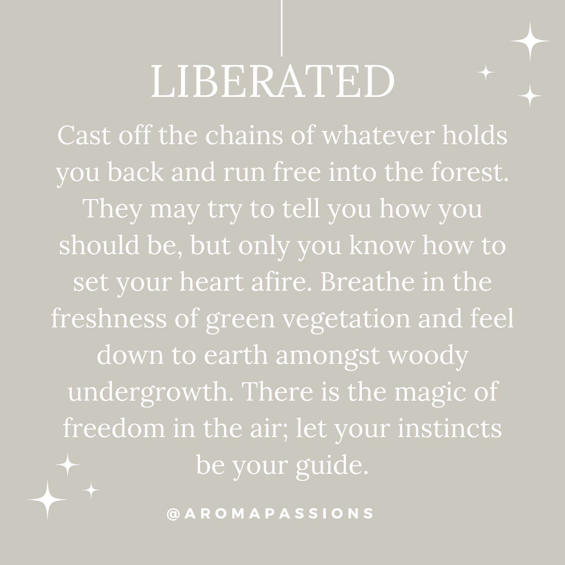 Le Labo Santal 33 Dupe - aromapassions