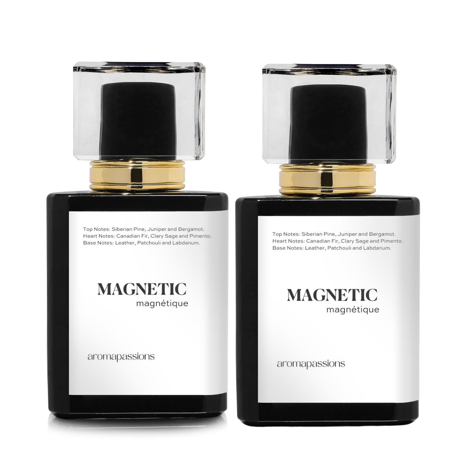 MAGNETIC | Inspired by BOTTEGA VENETA POUR HOMME | Pour Homme Dupe Pheromone Perfume - aromapassions