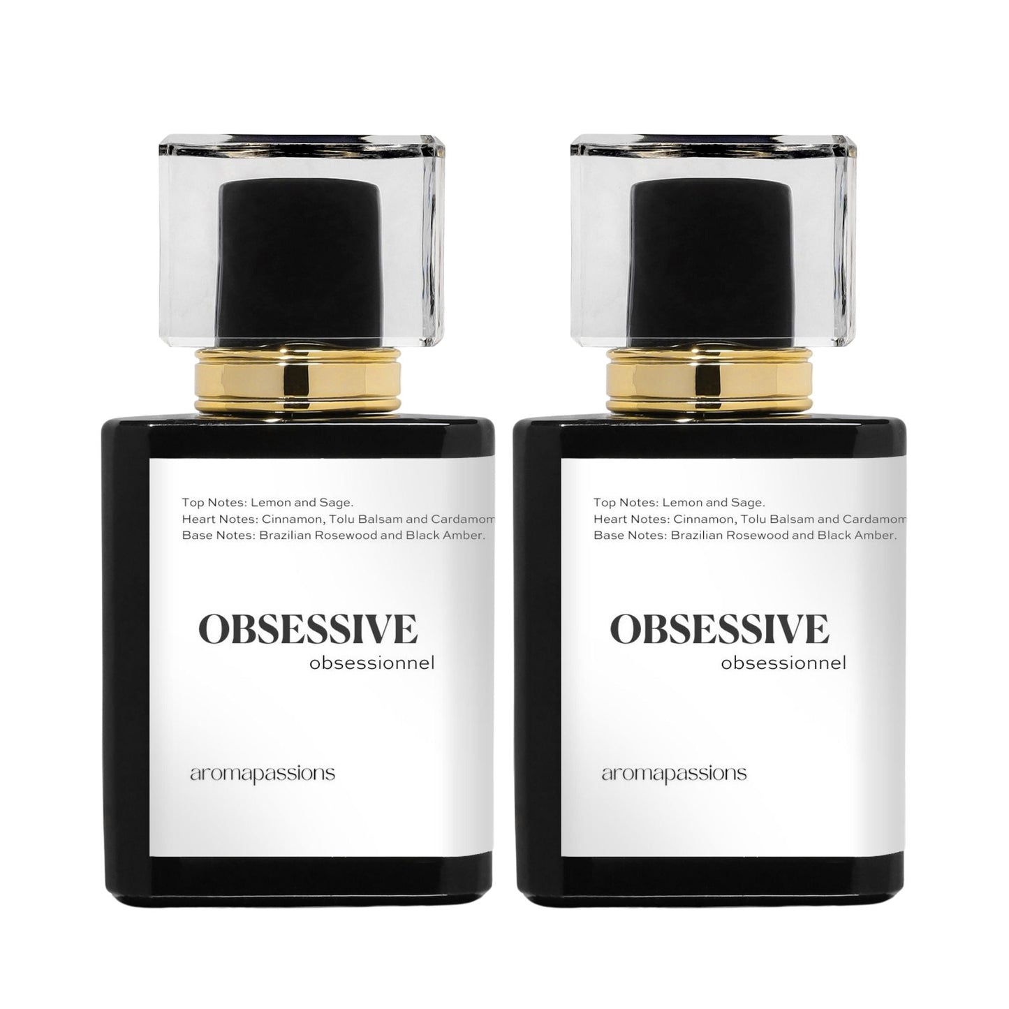 OBSESSIVE | Inspired by PACO - RABANNE BLACK XS MEN | Black Xs Men Dupe Pheromone Perfume - aromapassions