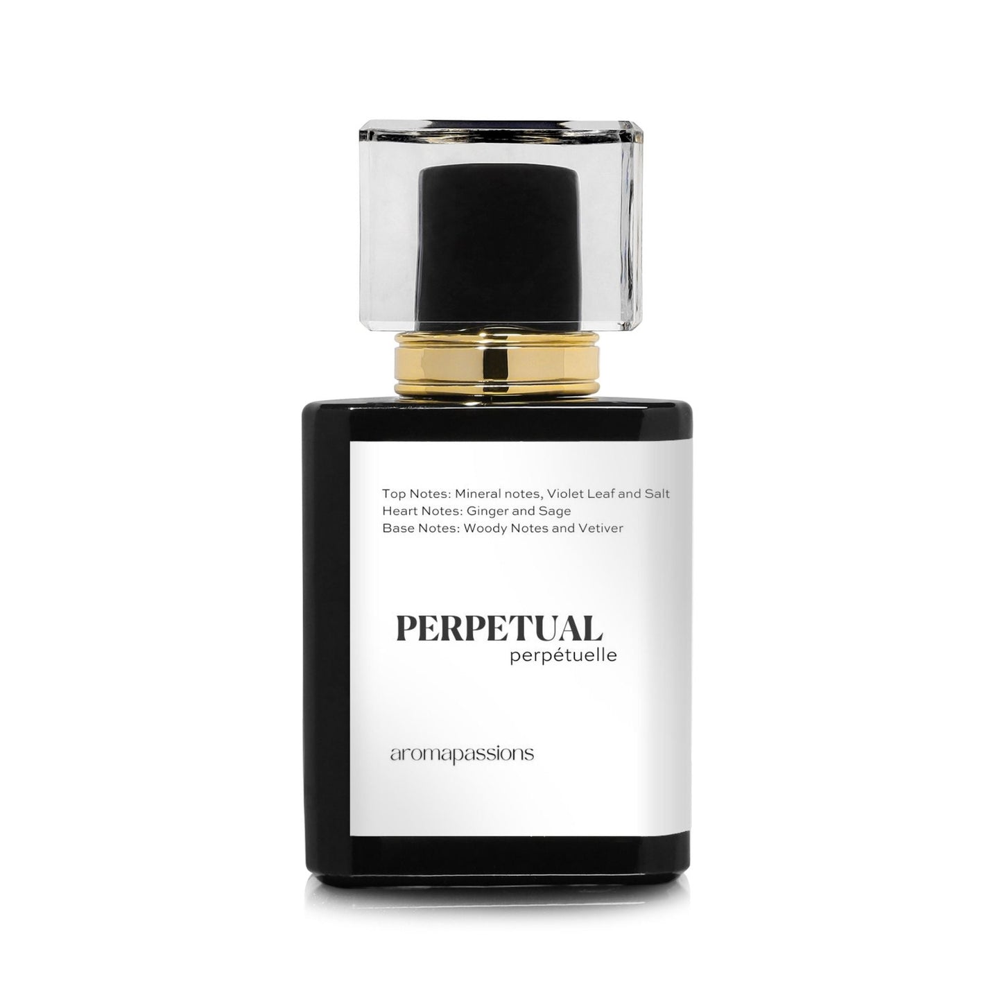 PERPETUAL | Inspired by VALENTINO UOMO BORN IN ROMA | Uomo Born in Roma Dupe Pheromone Perfume - aromapassions