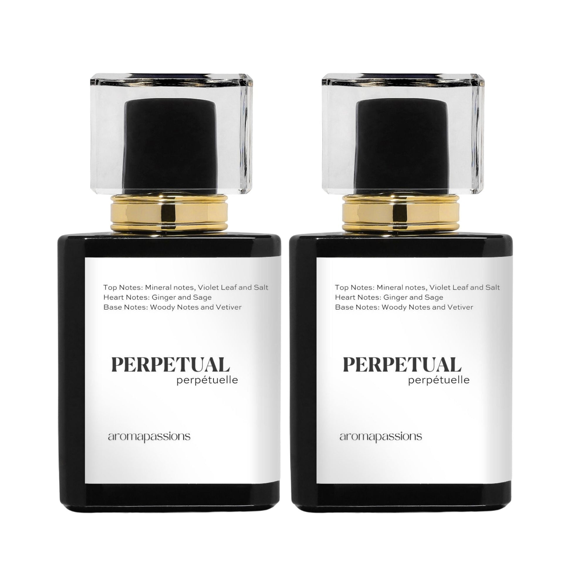 PERPETUAL | Inspired by VALENTINO UOMO BORN IN ROMA | Uomo Born in Roma Dupe Pheromone Perfume - aromapassions