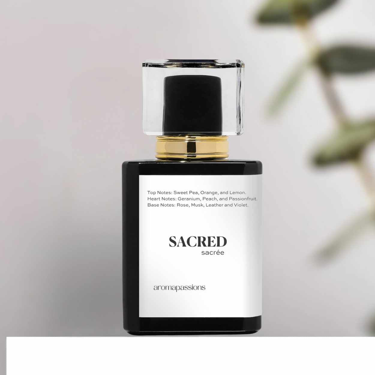 SACRED | Inspired by BURBERRY MY BURBERRY EDP | My Burberry EDP Dupe Pheromone Perfume - aromapassions