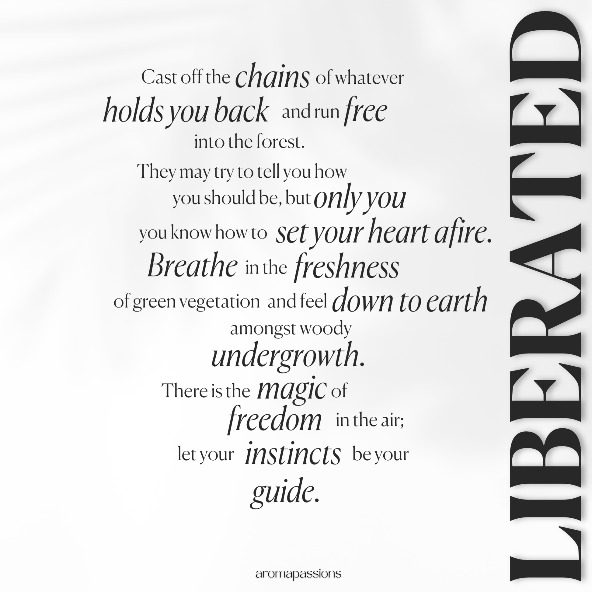 Santal 33 Perfume Dupe - aromapassions