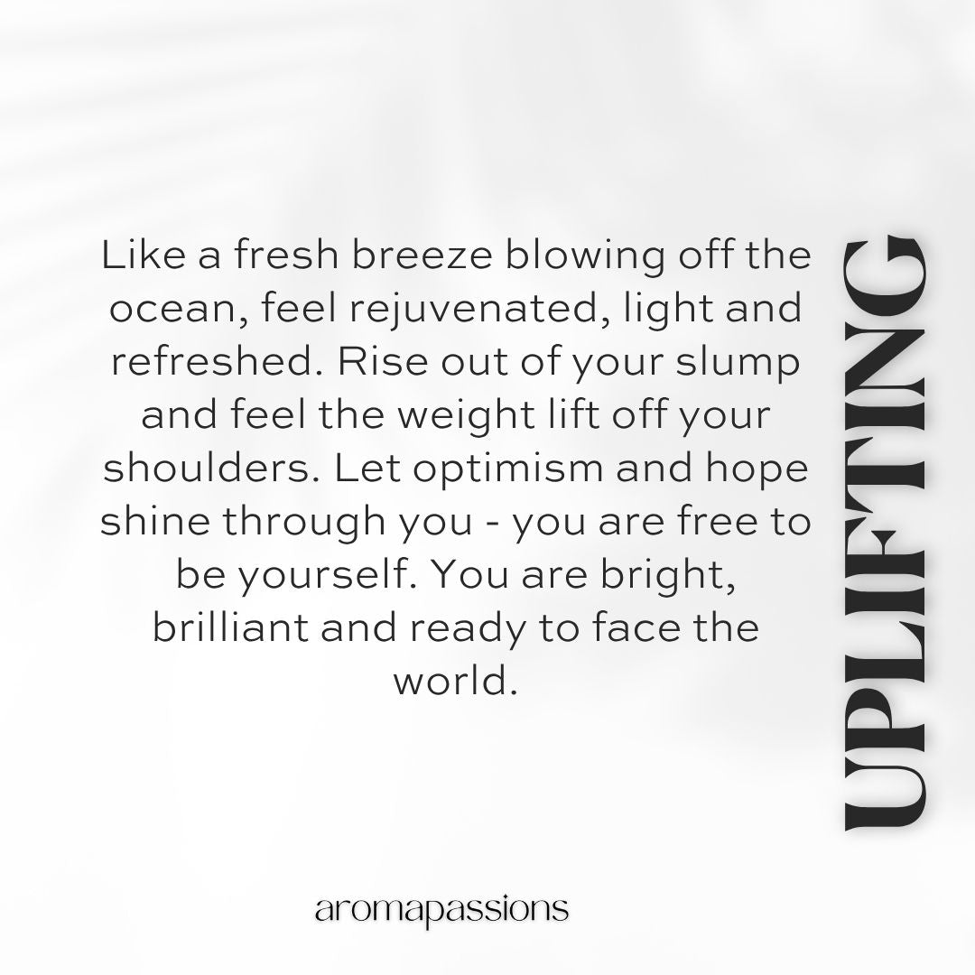 UPLIFTING | Inspired by DG LIGHT BLUE | Lemon Ginger Cinnamon Lemon Rose Jasmine Essential Oils| Light Blue Dupe Pheromone Perfume - aromapassions