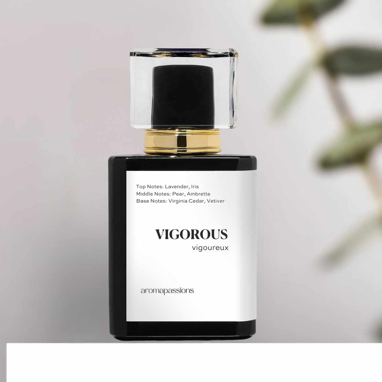 VIGOROUS | Inspired by D. HOMME | Homme Dupe Pheromone Perfume - aromapassions