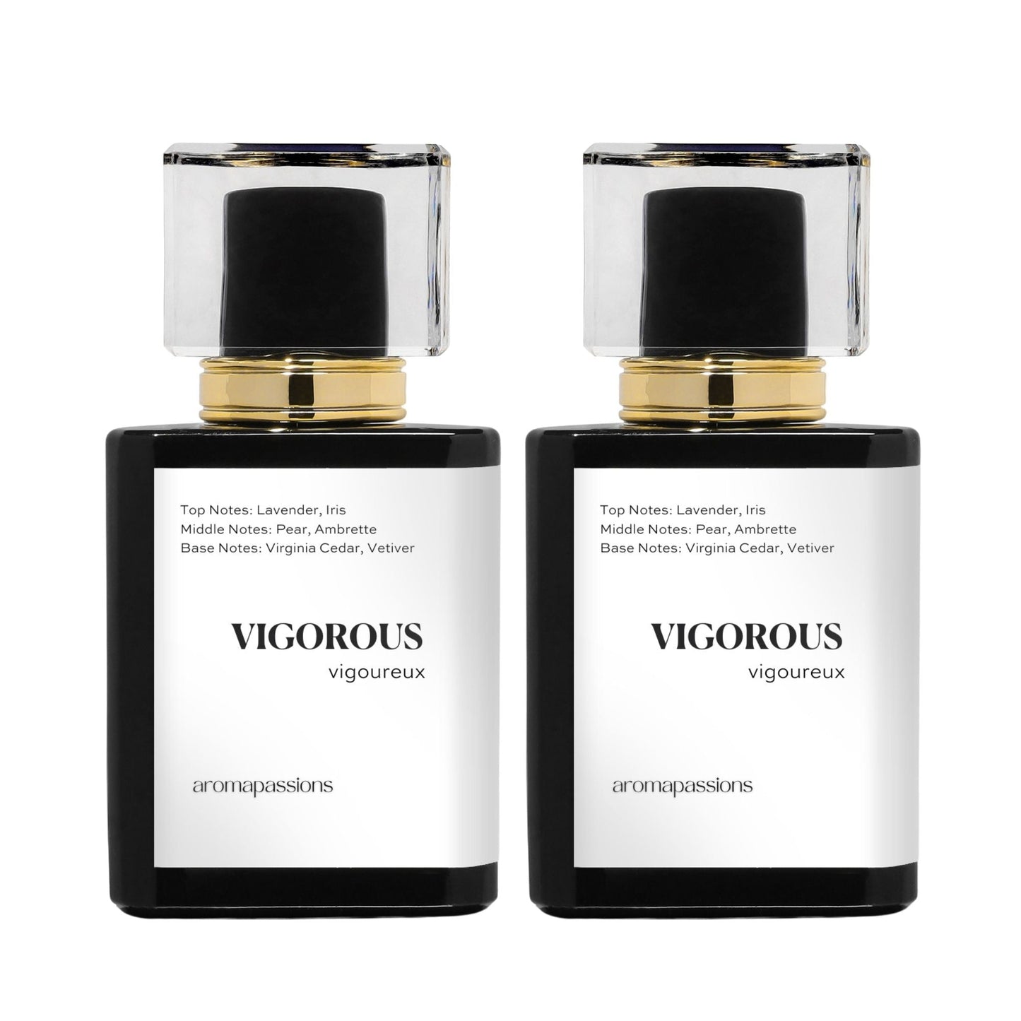 VIGOROUS | Inspired by D. HOMME | Homme Dupe Pheromone Perfume - aromapassions