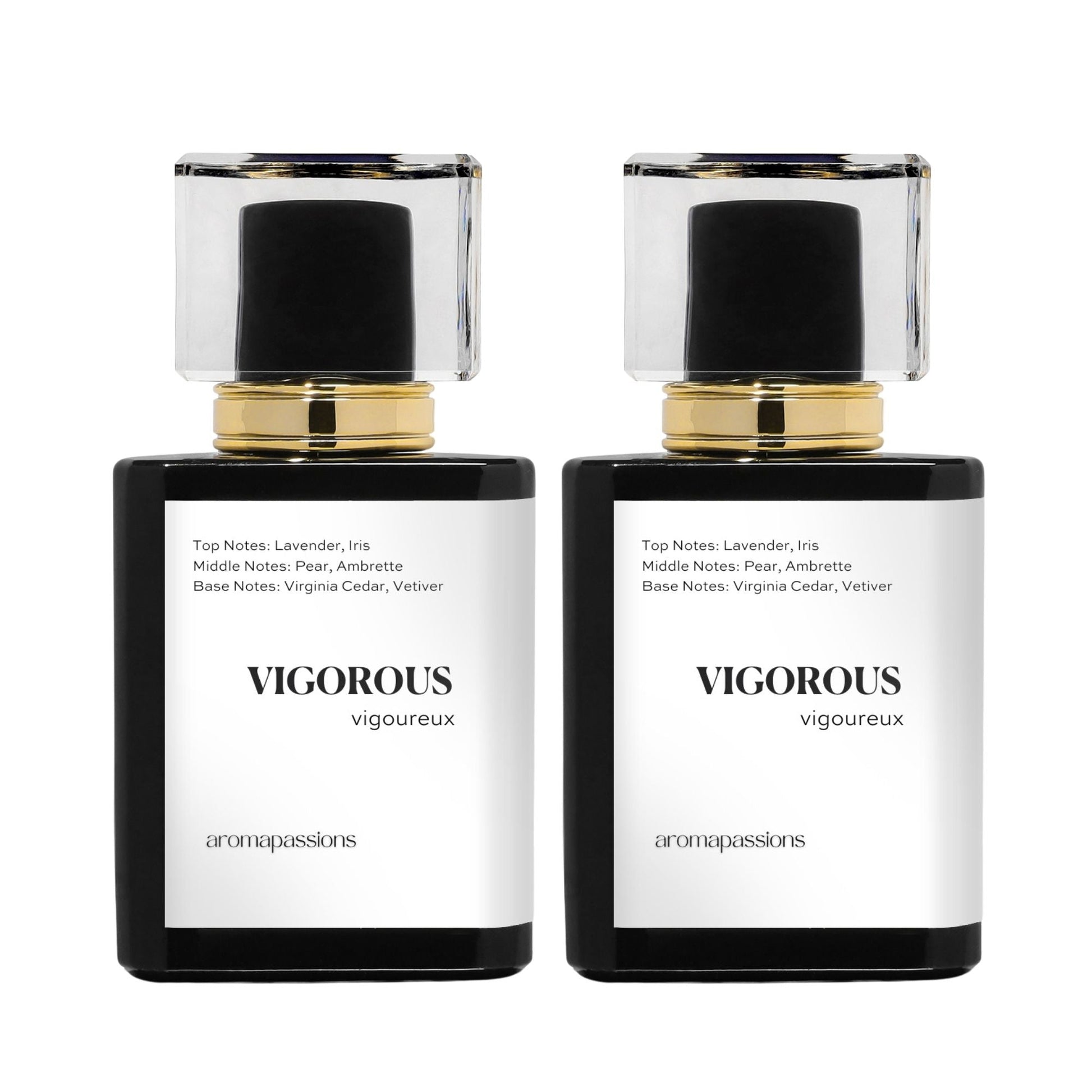 VIGOROUS | Inspired by D. HOMME | Homme Dupe Pheromone Perfume - aromapassions