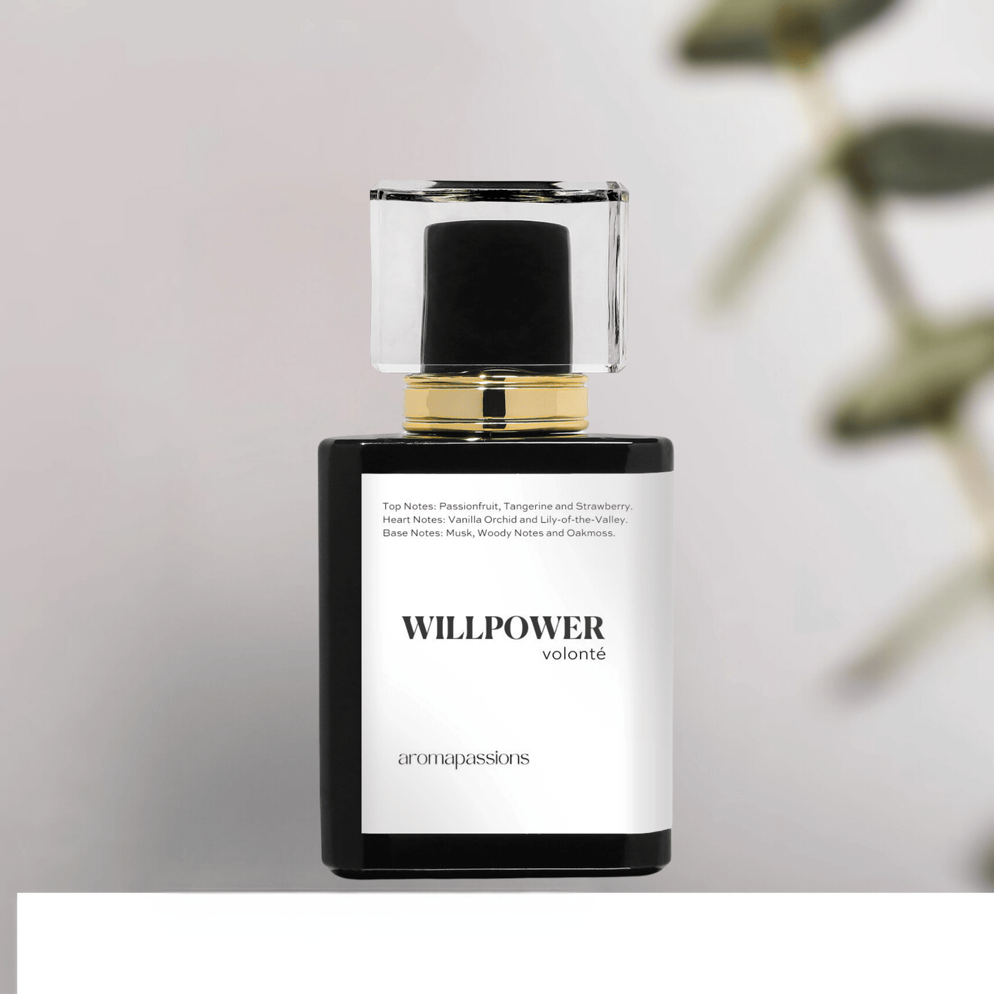 WILLPOWER | Inspired by VICTORIA SECRET BOMBSHELL | Bombshell Dupe Pheromone Perfume - aromapassions