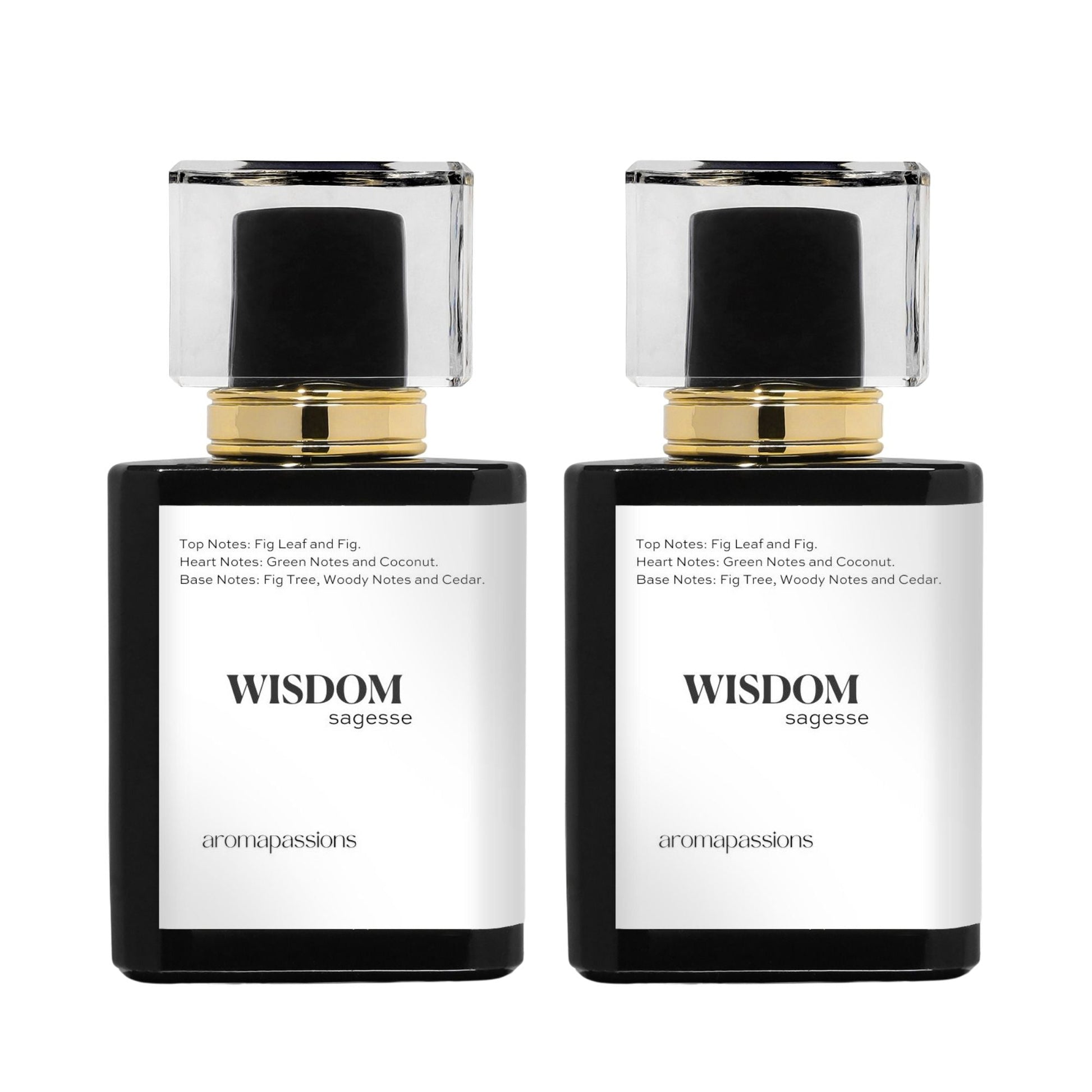 WISDOM | Inspired by DPTYQUE PHILOSYKOS | Philosykos Dupe Pheromone Perfume - aromapassions